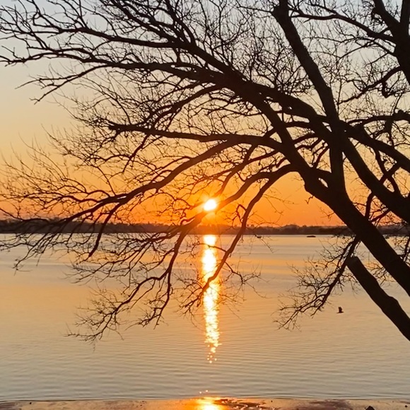 Meet your Posher, Larissa - Picture 1 of 1